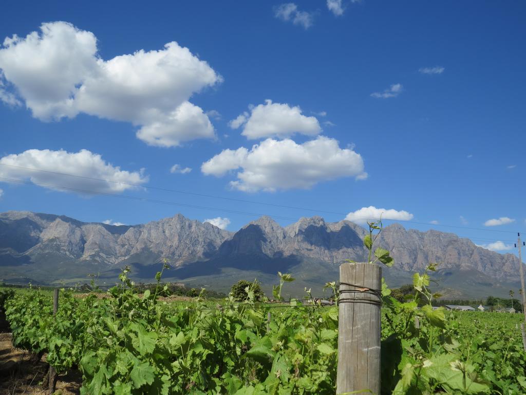 Seven Oaks Vineyard Cottages Wolseley ภายนอก รูปภาพ