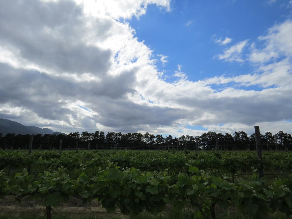 Seven Oaks Vineyard Cottages Wolseley ภายนอก รูปภาพ